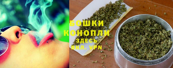 PSILOCYBIN Балахна