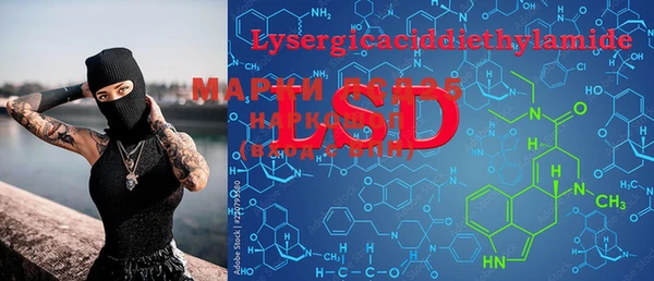 PSILOCYBIN Балахна