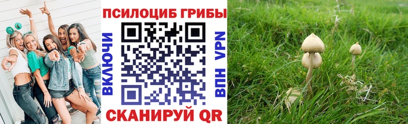 Псилоцибиновые грибы Psilocybine cubensis  MEGA рабочий сайт  Новочеркасск 